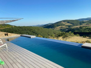 Les Bernards Grande bâtisse 12p avec cheminée bain nordique billiard piscine